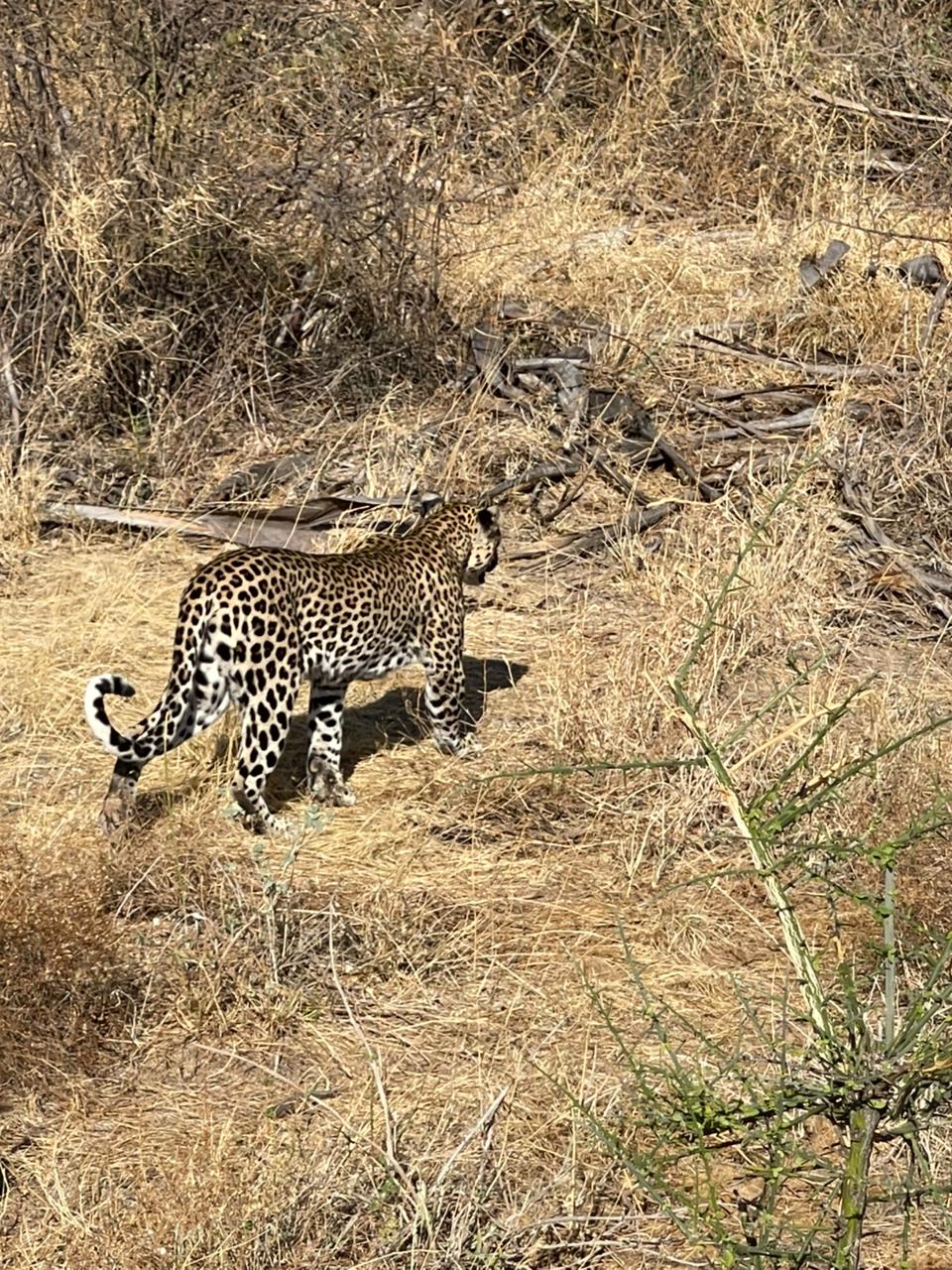 Serengeti National Park