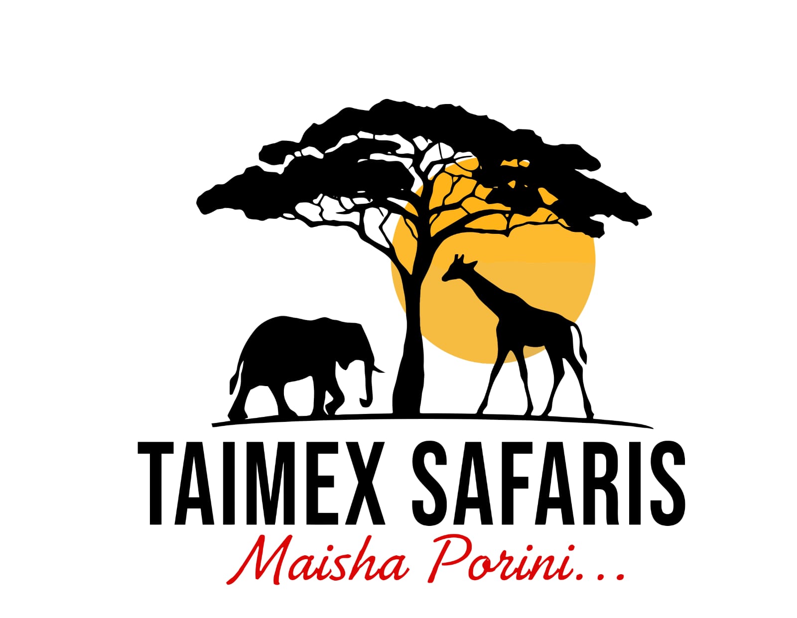 Taimex Safaris Logo